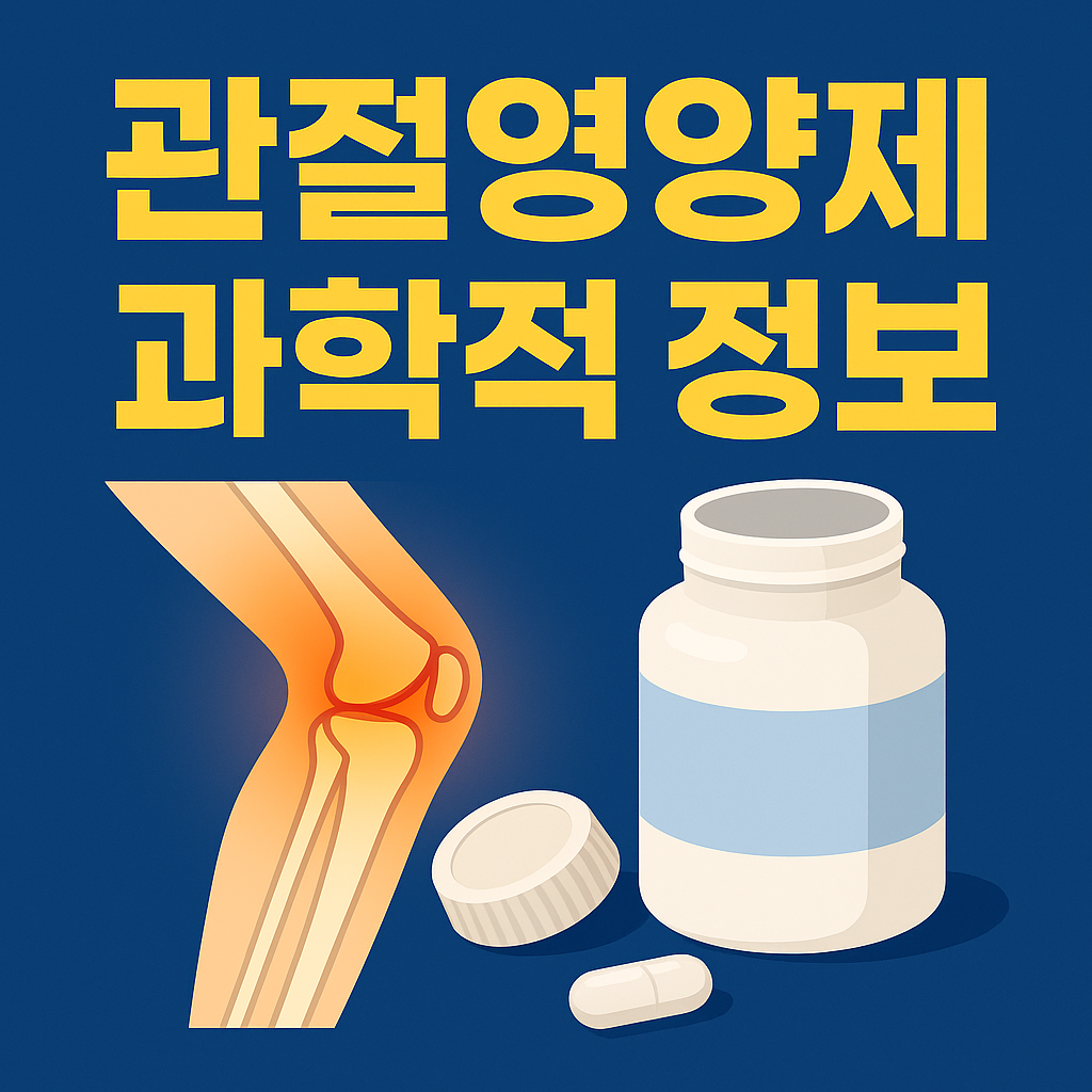 건강한 관절을 위한 관절영양제 과학적 정보와 현명한 선택법 1 관절영양제 과학적 정보