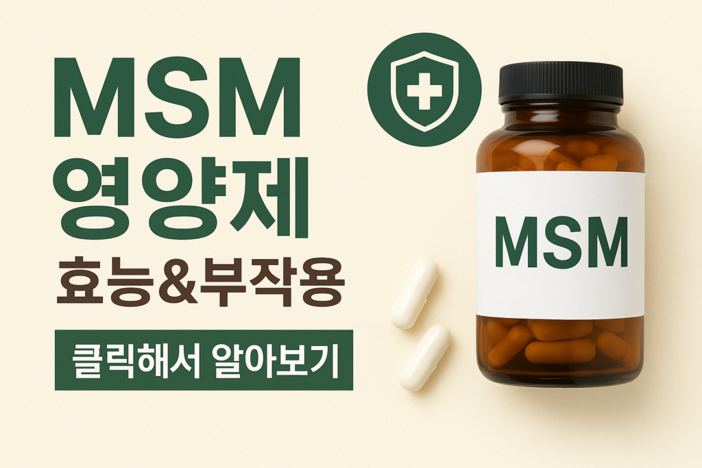 MSM 영양제 효과와 부작용, 제대로 고르는 방법 완벽 가이드 1 msm 영양제