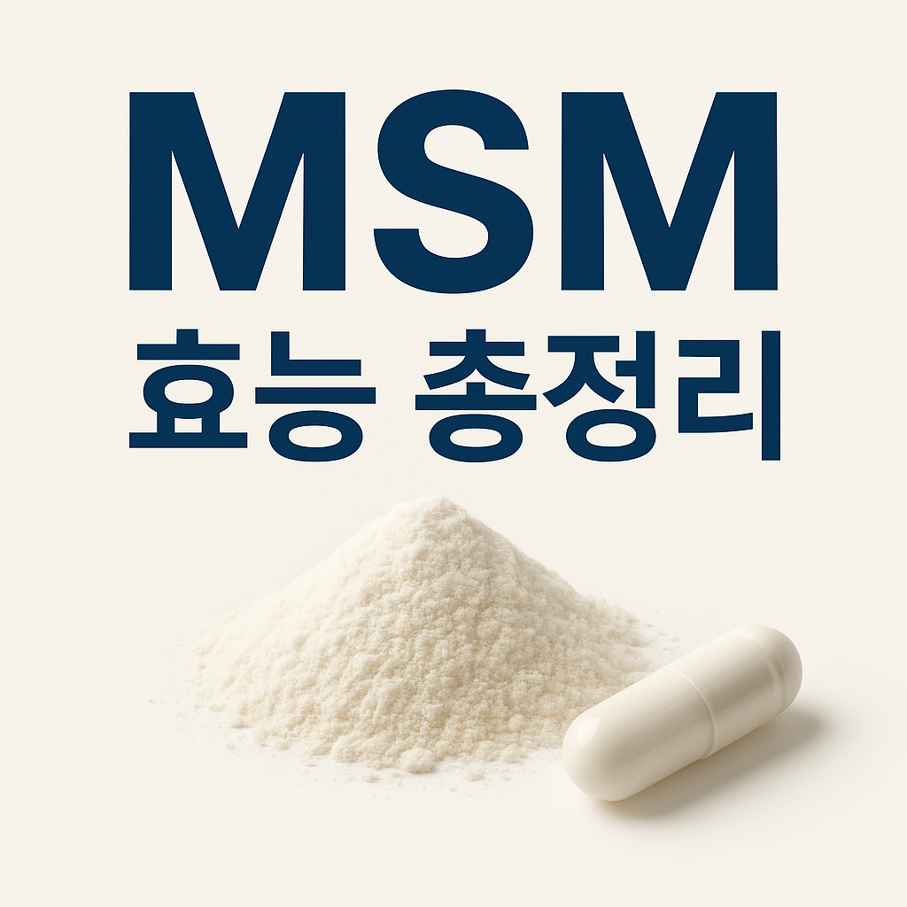 MSM 효능:관절·피부·면역·해독까지 유기황의 모든 것 1 msm 효능