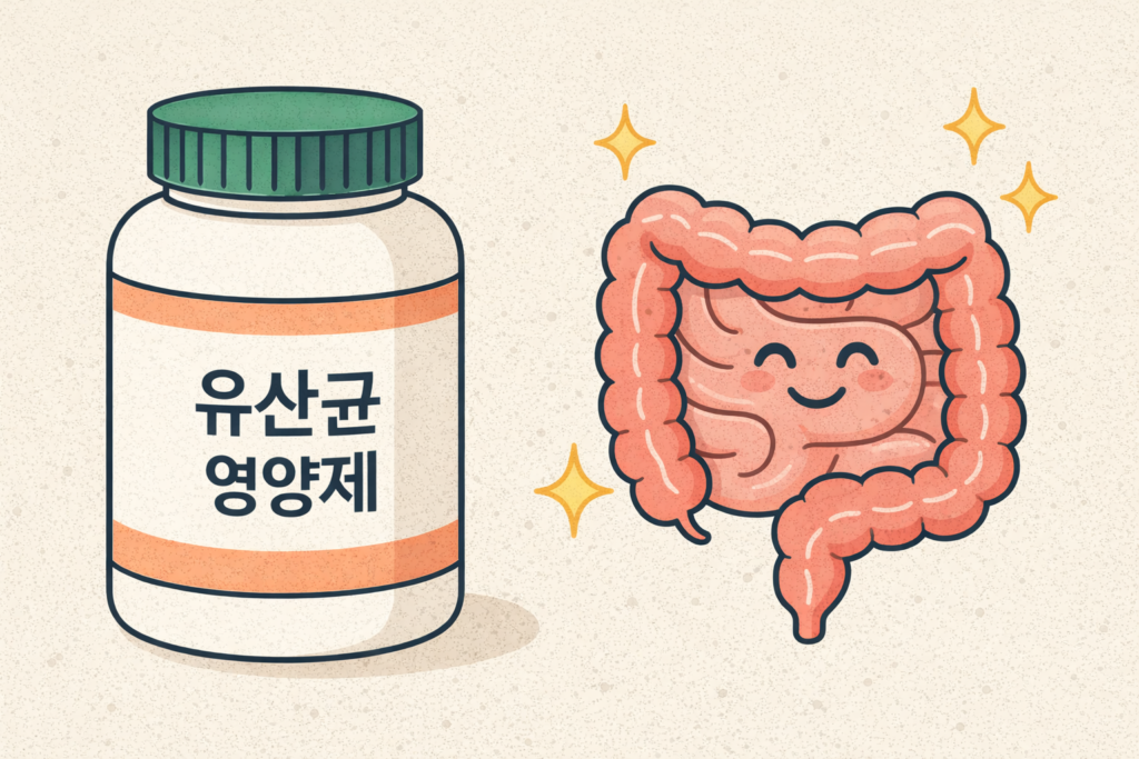 유산균 영양제 완벽 가이드: 장 건강을 좌우하는 선택의 기준 1 유산균 영양제